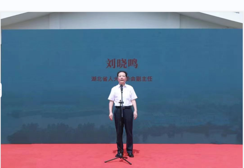湖(hú)北(běi)考古博物(wù)館開(kāi)館